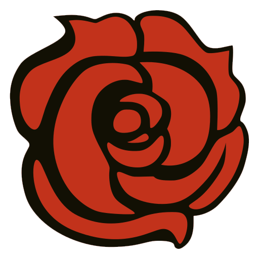 red rose